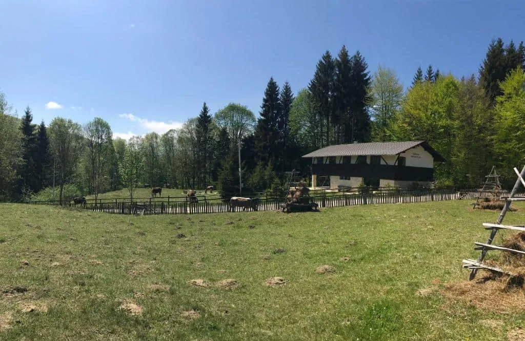 Cabana Haiducului