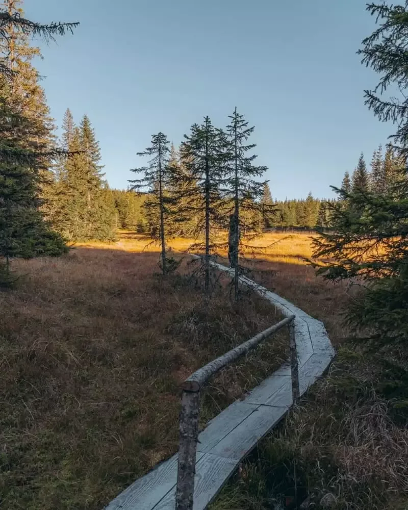 Hilltop Măguri
