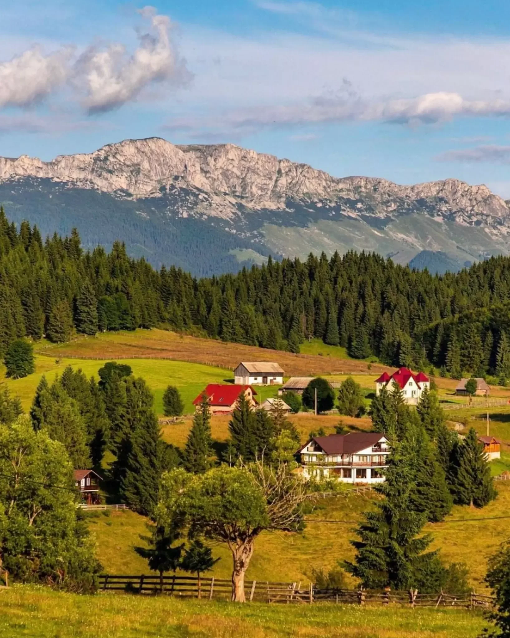 Nordic Star Chalet