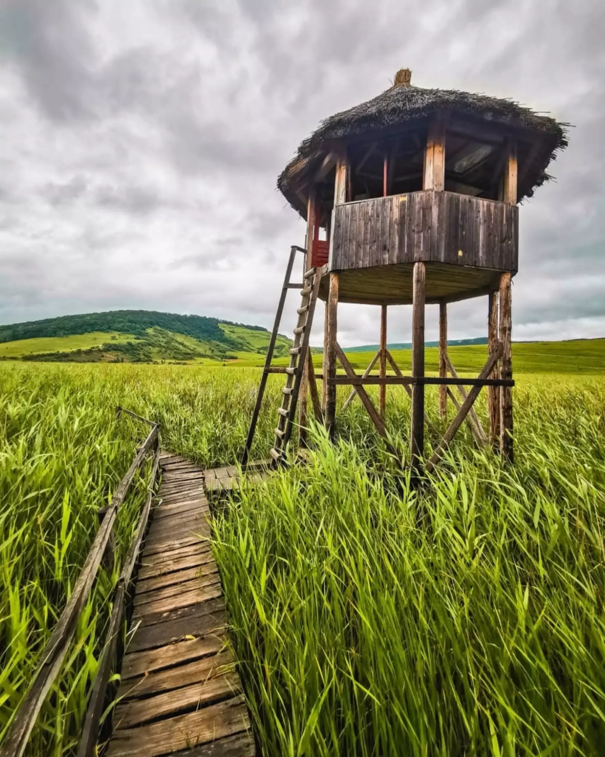 Story Cabin Lake